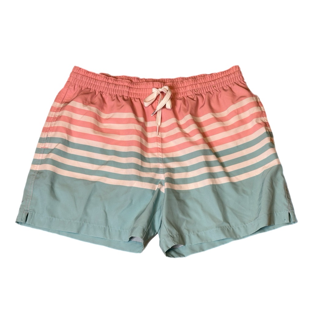 Chubbies On The Horizons 5.5in Stretch Swim Trunk